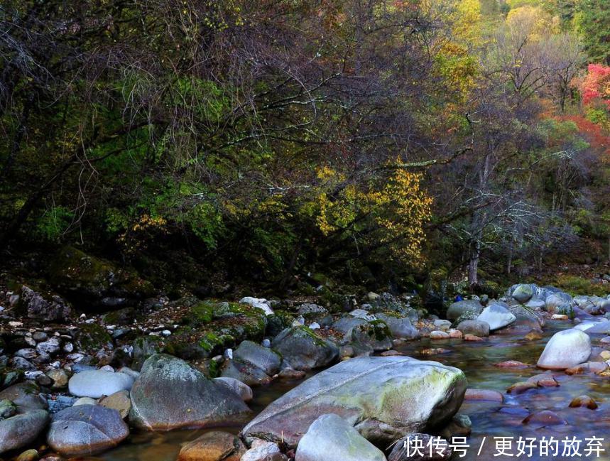 黄柏塬是一个让人流连忘返的地方，美好的自然景观让人心旷神怡