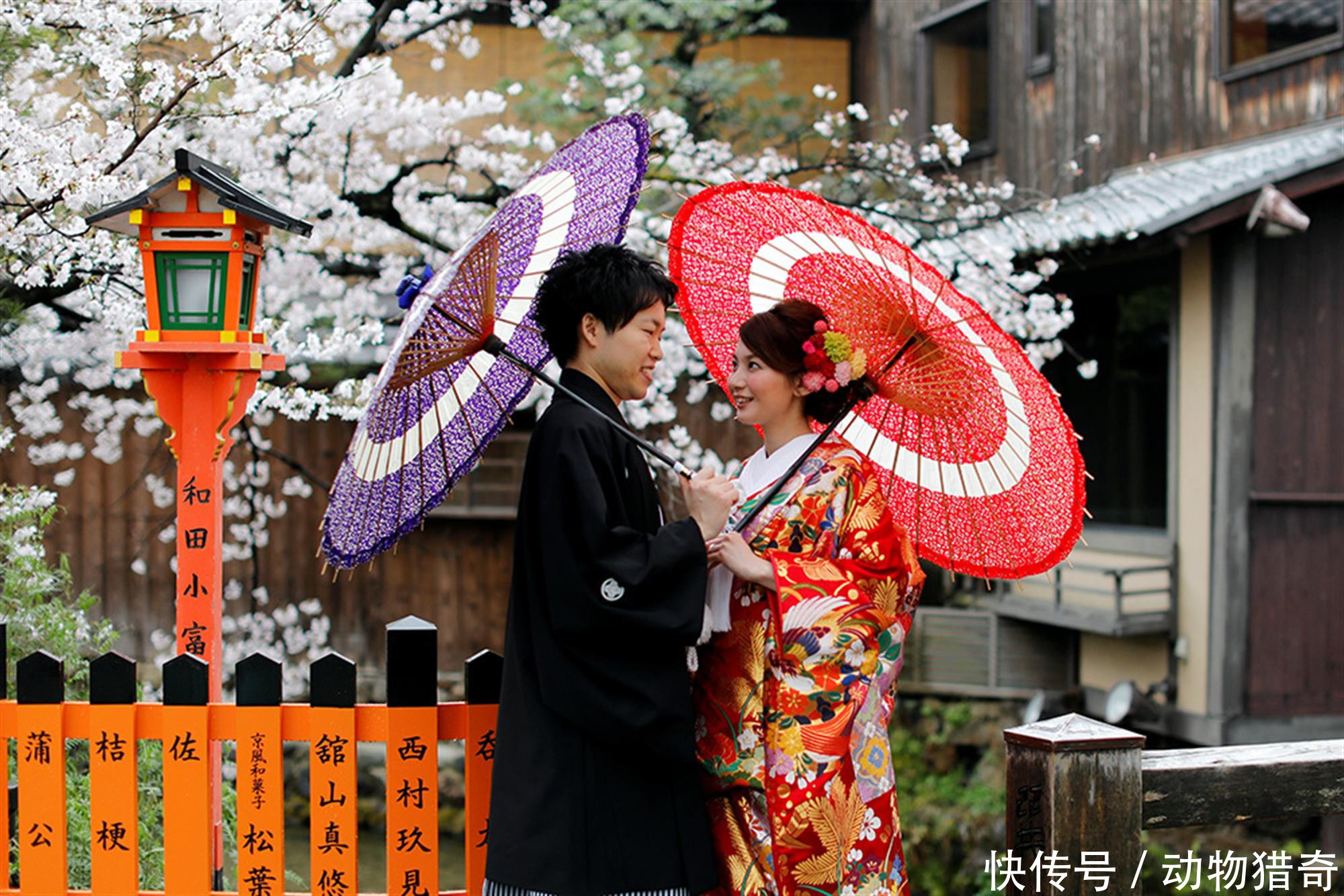 直击游客暴涨的日本,中国人最多,看看当地人对此如何评价