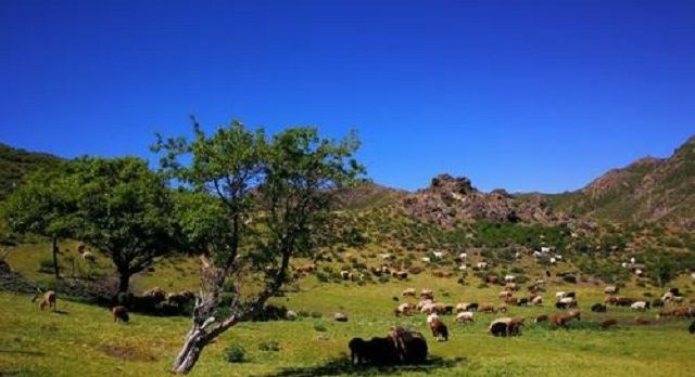 新疆伊犁，西北部的伊甸园，中国的普罗旺斯