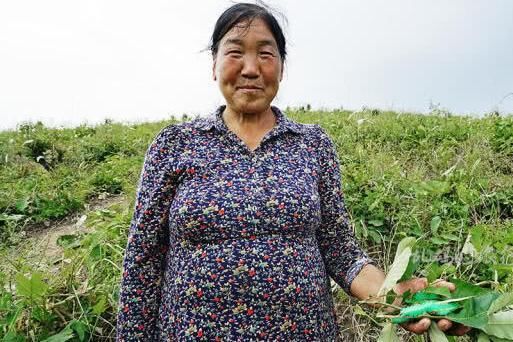 河南最美县城 经济省内倒数 却是“中国最佳休闲旅游名县”！