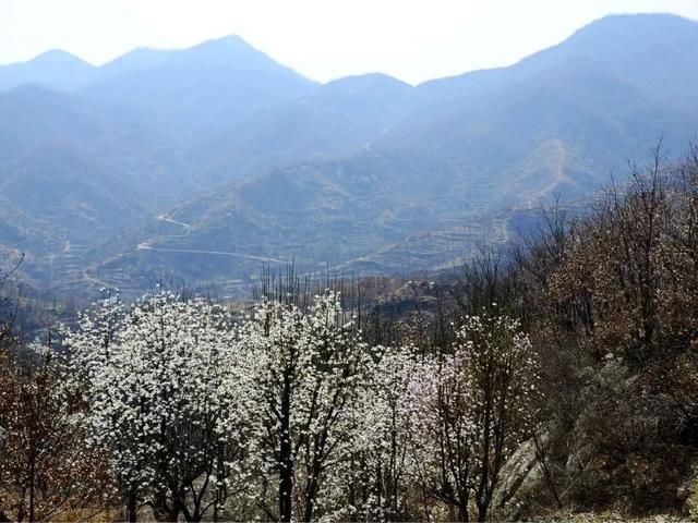 河南有一风景如画的河谷景区，红石遍布瀑潭相连，吃住便宜无门票