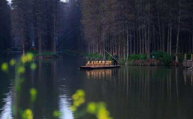 这几个地方景色太美还免费，网友大呼：辞职也要去看看