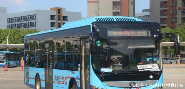 为什么说在广东东莞坐公交车，是一件幸福的事情