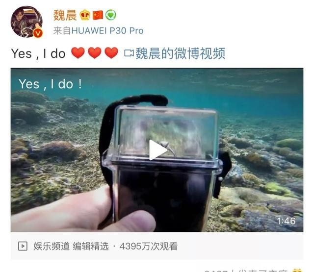 中梗是啥意思是什么意思是什么意思