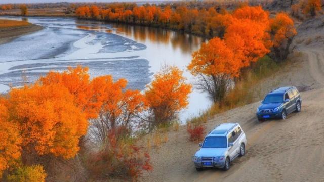 居住在沙漠中的神秘民族，政府多次建议搬迁出去，当地人却拒绝