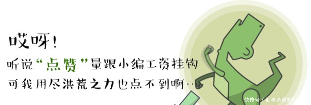 中国到2048年，人口数量会达到多少亿，你能想到吗