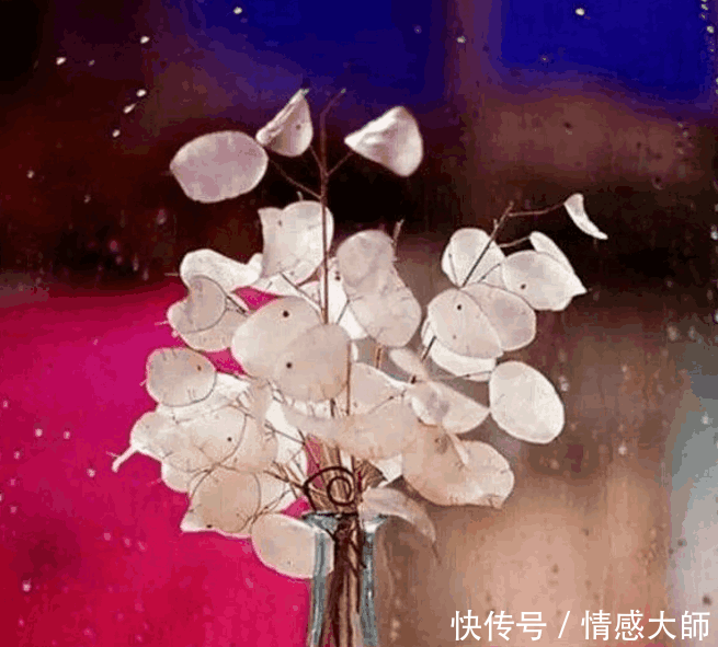 有一个妈宝男的老公, 婆媳关系怎么可能处理