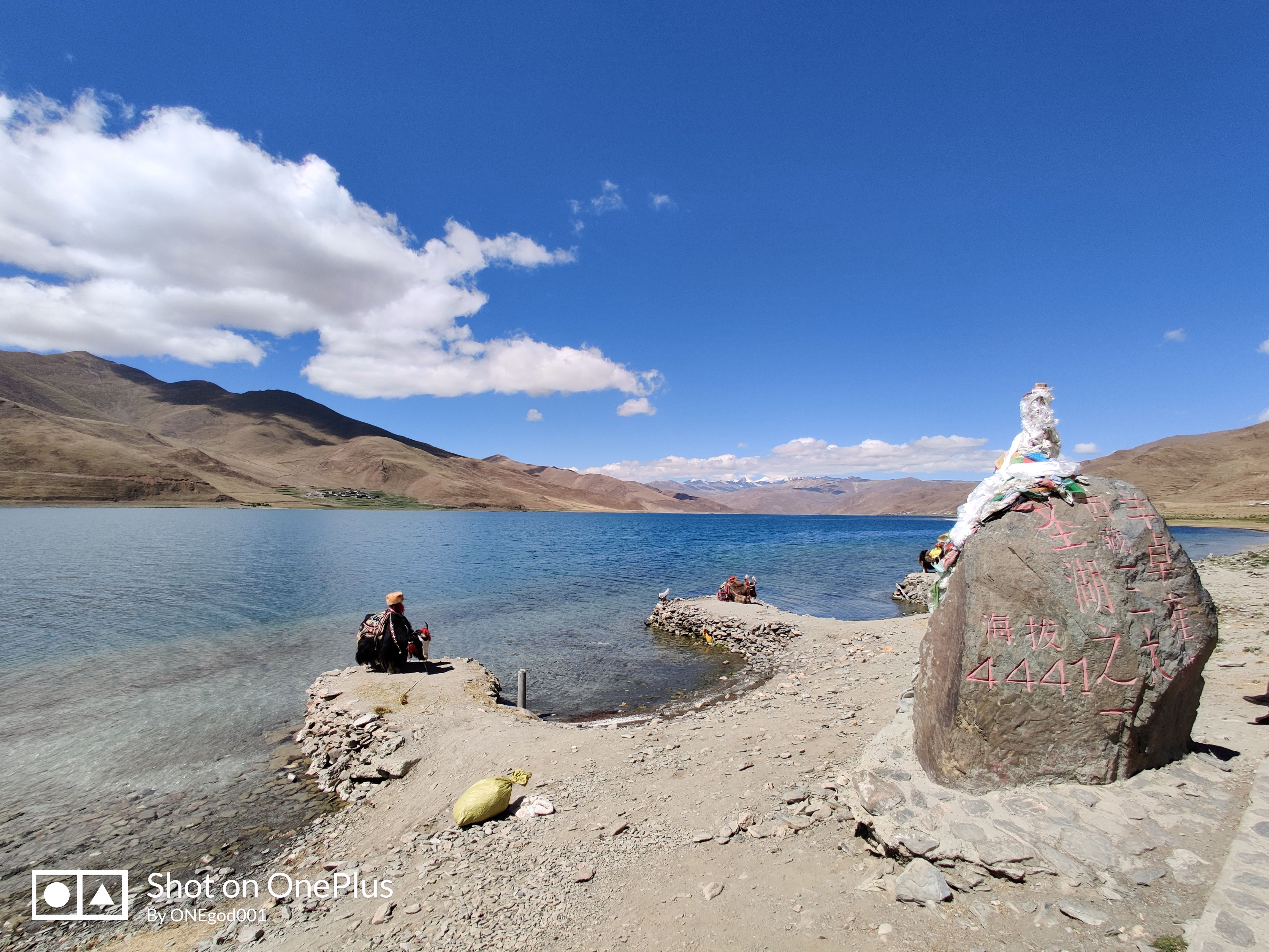 川进青出，十五天三省，318全线，冰川、湖泊、雪山探秘之旅。