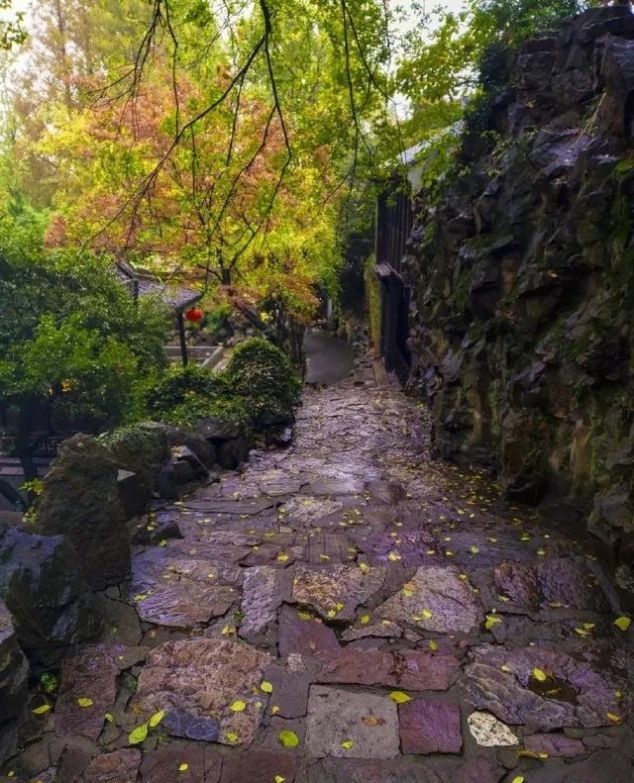 秋来伏未去，十首诗中觅清凉