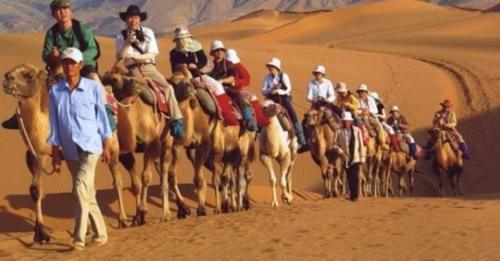 为何沙漠中驼人的骆驼都是公的，母骆驼哪去了？看完终于明白了