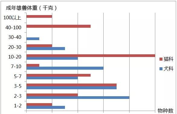  『犬科』同为食肉动物，为什么猫科体型比犬科大得多？