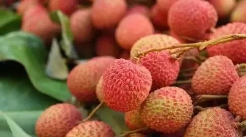  #上市#去年贵到吃不起，今年预计会降价？荔枝将上市，市场价格拭目以待