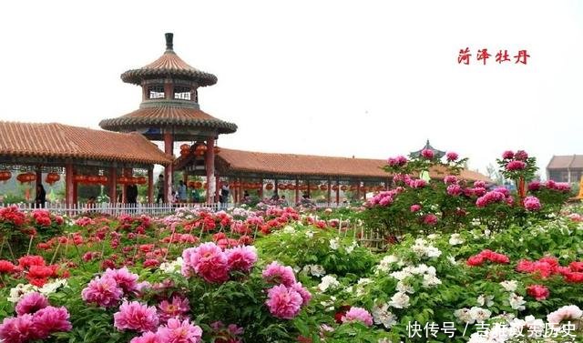  【地市】山东十七地市成立时间及分类，有个市有些特别，滨州、