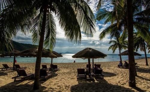 为什么很多东北人都喜欢去三亚过冬?而基本不去海口