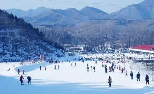  「重启」不能重启的2020，接下来的日子在天津要这样过！