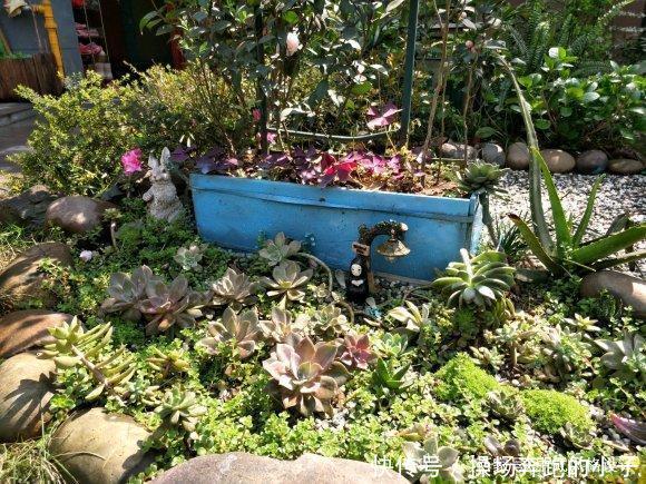  「李小姐还」她将荒芜的后院，改造成最美花园，完工一年后，让人惊艳