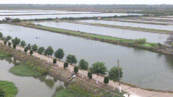  产值@啥养殖新模式？能每亩纯利润近万元，光卖鱼产值就有26万！