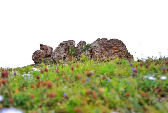 丰宁除了坝上草原，还隐藏着一个中国最美森林自驾者的天堂