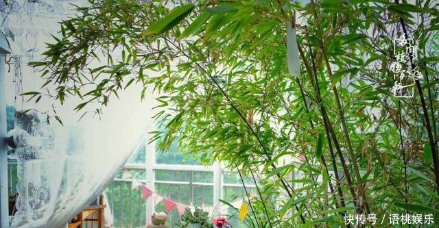  #喜欢#一粥一饭填饱肚子，一屋一花神仙日子！生命不止，玩趣不停！