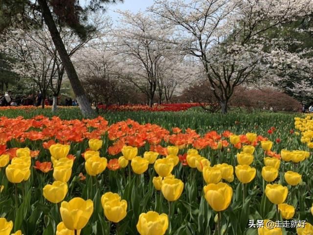 五一小长假一天变四天，最好这样度过