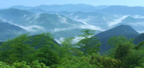 浙江值得一游的9个地方,这些美景别错过