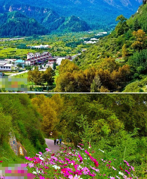 魅力祁连山之秋,藏族乡秋景迷人,色彩斑斓