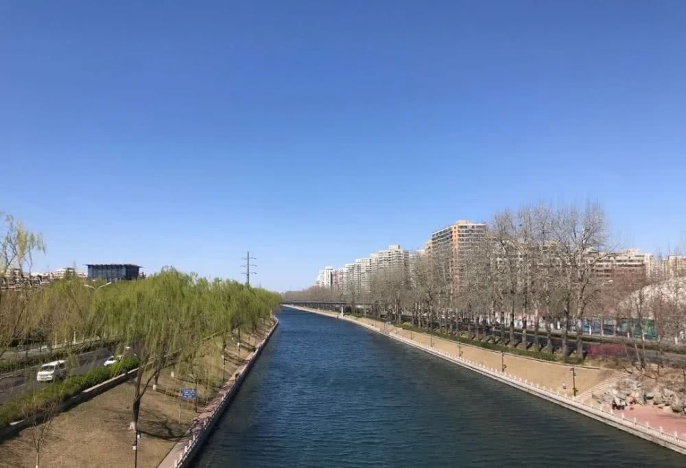  斗室：适应新常态，在斗室中自得其乐