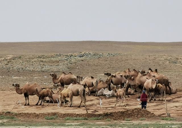 96天、上海女司机自驾新疆17191公里！具体路线来了，请查收