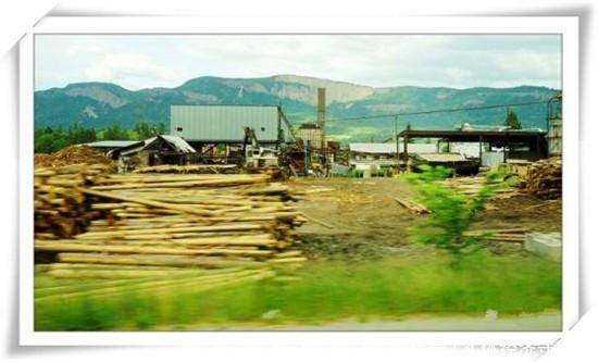  【农村】现在的农村，还有哪些暴利生意？这里推荐几个供参考