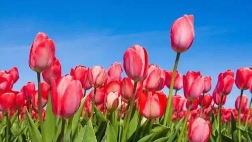 定了！广州地铁3号线可直达东莞