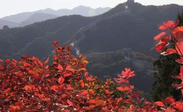 北京周边人少景美的红叶观赏地，只有去过才知道！