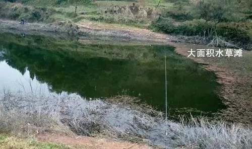  【钓友】野外钓鱼7大黄金钓位！别说老司机没带你，最后一种钓位专出巨物