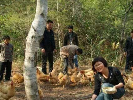 农村俗语：下蛋鸭子飞过河，下蛋母鸡小秤砣，啥意思？有道理吗？