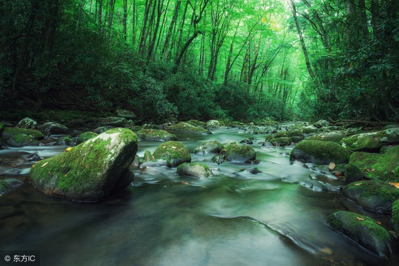 中国最低调的5A景区,亏本依旧免费,网友却嘲讽:为出名才学西湖