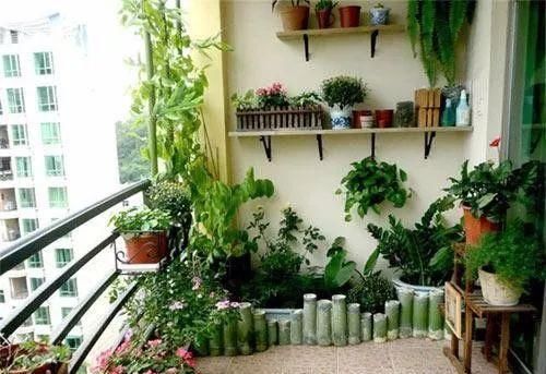  #花架#原来阳台还能这样种花, 一看就像个花园, 太漂亮了!