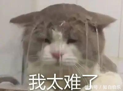  适合身材■不同身材的穿裙子指南！学会穿连衣裙，才能时髦又高级