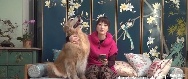 「臃肿」54岁周海媚真的老了!一袭棉服暴露臃肿身材,皮肤松弛皱纹好明显