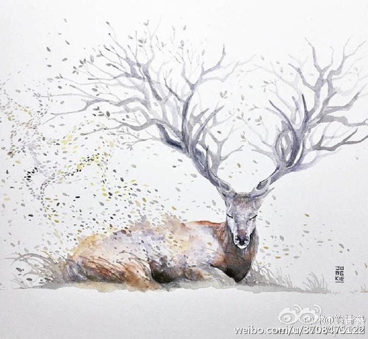  『Luqman』艺术家 Luqman Reza 用缤纷的水彩讲述着与动物有关...