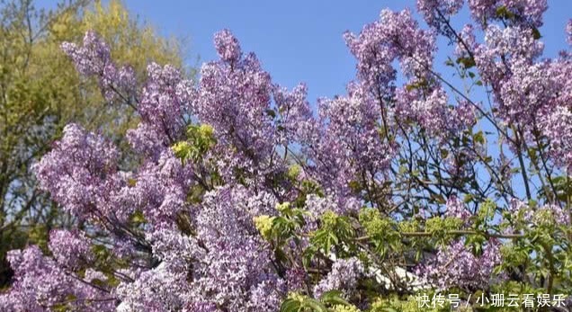 『违法』出国旅游不能踩的“雷区”,不知道的人,小心笑话!