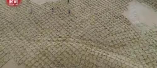  【标本】10秒钟就能种下一棵树 中国的治沙模式成世界标本