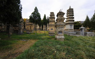 我国最大的一座古塔建筑群 是少林寺历代高僧的圆寂之地