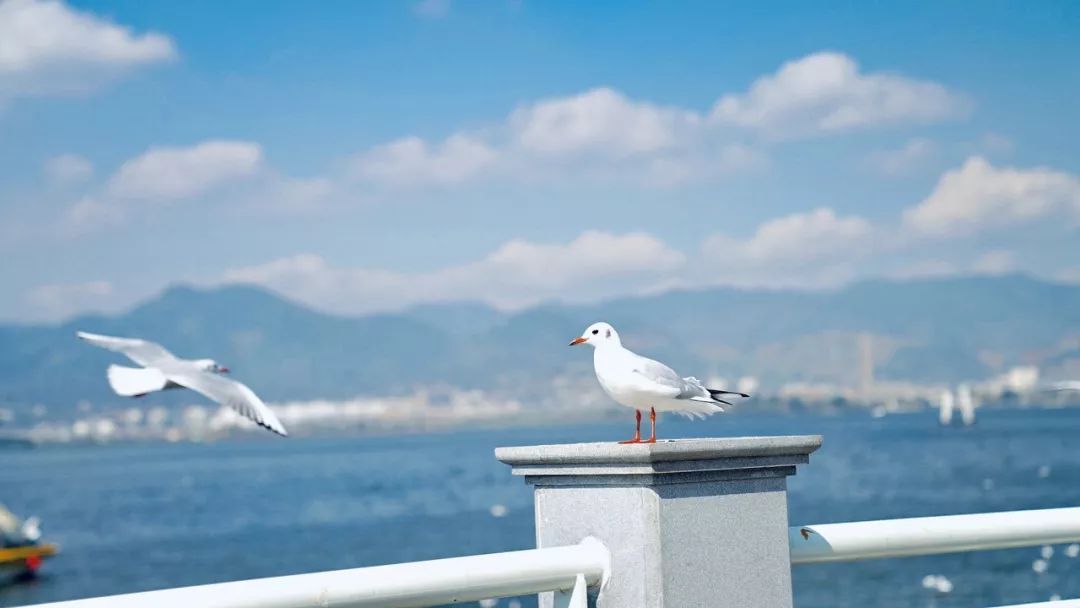 国内最“慢”的5座城市