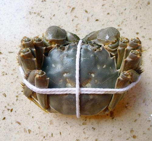 江苏最尴尬的旅游城市，景区多游客少，猪肉脯和大闸蟹却很出名