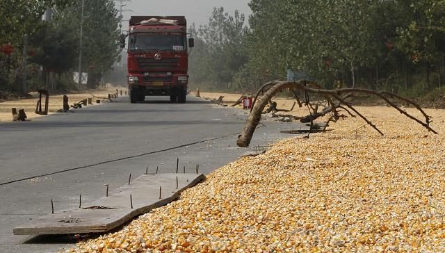  玉米：这个人是不是你？有些农民粮食卖了高价反而没有卖低价赚
