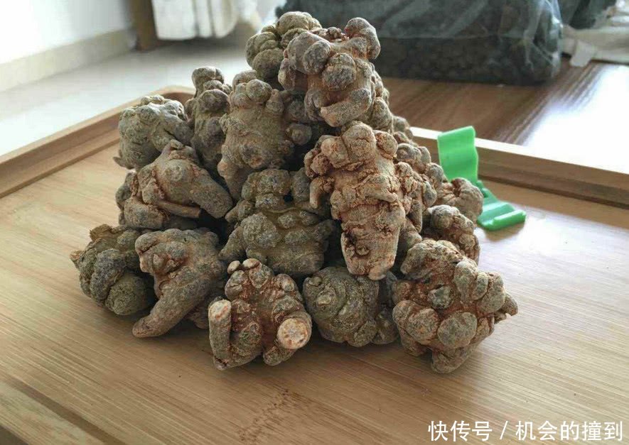 从800一斤跌到2块，赔了个底朝天，“致富项目”能不能信