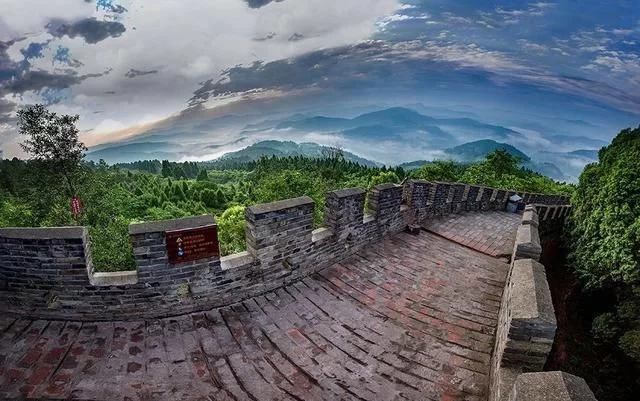 赏花踏青正当时 蓉城首届花朝季来了【2020热门旅游景点】