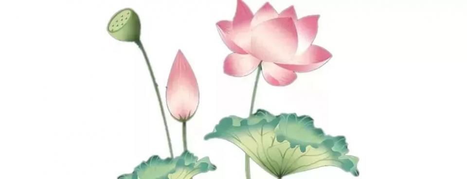 薛之谦晒娃、井柏然怼粉、千玺军训、薛之谦晒娃、马思纯介意、佘