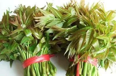 篡改编造、旧谣翻新、夸大其词……朋友圈这十大谣言你中招了吗？