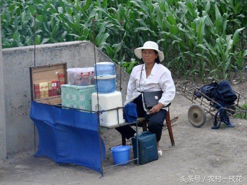 实拍朝鲜农村的生活现状,老牛拉车,女人干活,宣