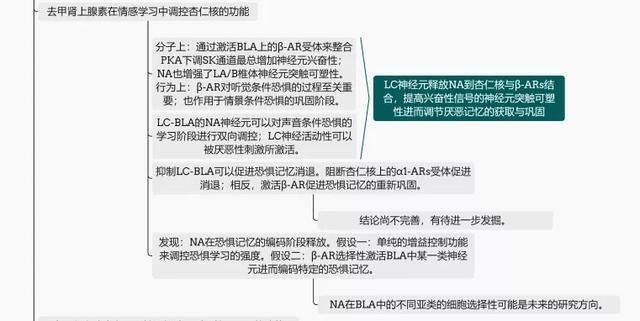  [情绪]重磅综述：厌恶性情绪学习环路中的神经调节【思维导图解析】